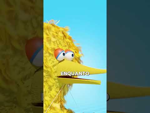 Quem controla o Big Bird? 🤔