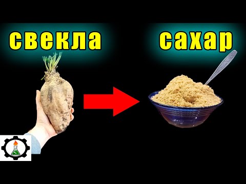 Как добыть САХАР из СВЕКЛЫ