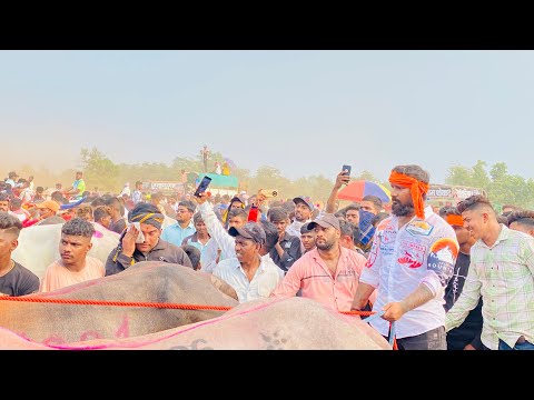 🔥🤴 मथुर 🤴🔥Vs राजवीर पाटगाव मैदान || A1 जोडी | मथुर ।🔥1001🔥मेहबूब🔥३००६🔥#viral#viralvideo#tags