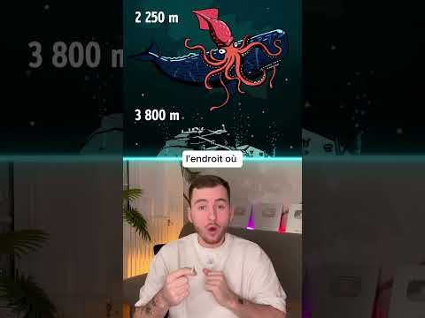 La profondeur de l’océan que l’ont connaît ! 😳