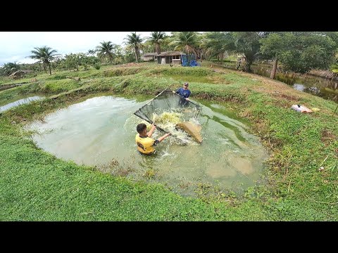 PASSANDO O PENEIRÃO NO TANQUE DE PEIXE GIGANTES !