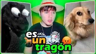 MI PERRO SE COMIÓ TODA LA COMIDA DEL ALTAR DE MUERTOS 🐕😒