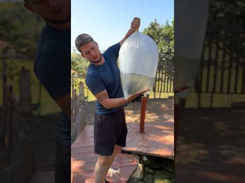 Trouxe um peixe pré histórico Part 1 #shorts