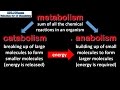 Biochemical Reactions and Molecules