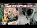 Mysterious Creatures and Phenomena