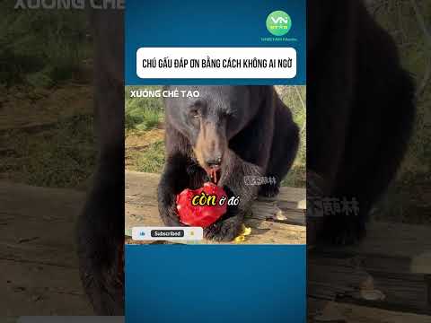 Chú gấu đáp ơn bằng cách không ai ngờ #shorts #xuongchetao