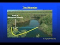 Stream Ecosystem Concepts Assessment