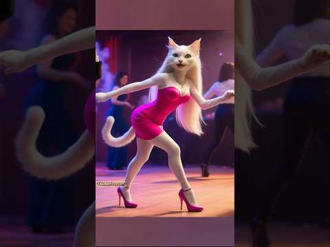 Cat in Shock 4 #cat #kitty #cutecat