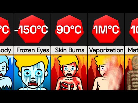 Comparison: You At Different Temperatures [Part 2]