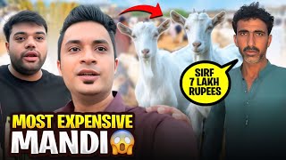 7 LAKH K BAKRAY LELIYE ? 😮 | MANDI PROGRAM CANCEL ❌ | MAMA SAD HOGAI 😢