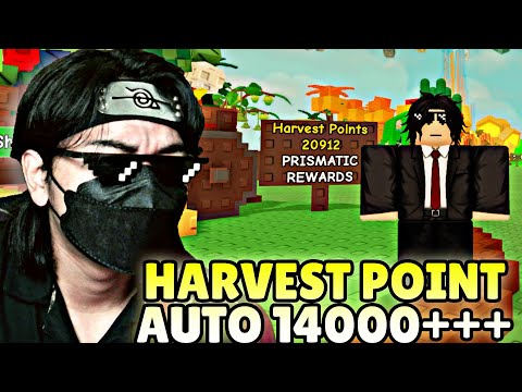 TUTORIAL CARA MENGUMPULAKAN BANYAK HARVEST POINT DI SUMMER EVENT GROW A GARDEN NEW UPDATE - ROBLOX