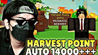 TUTORIAL CARA MENGUMPULAKAN BANYAK HARVEST POINT DI SUMMER EVENT GROW A GARDEN NEW UPDATE - ROBLOX