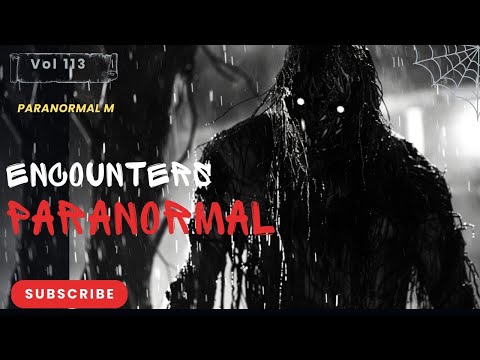 67 Bone Chilling Paranormal Tales Unleashed | Vol 113