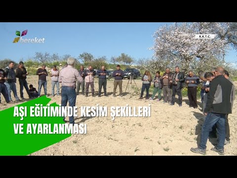 Aşı Eğitiminde Kesim Şekilleri ve Ayarlanması