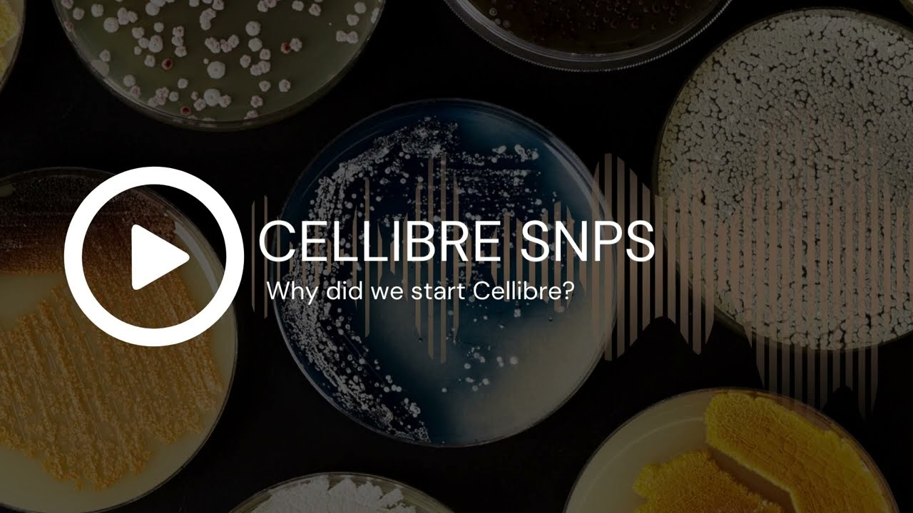 CELLIBRE SNPS: What made us start Cellibre