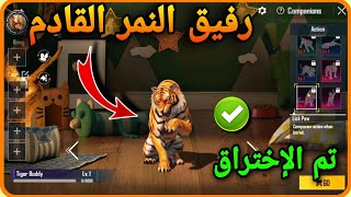 تم الاختراق ✅️ رفيق النمر الجديد قادم في ببجي 😳🔥 || PUBGMOBILE تسريبات 📲