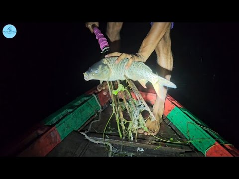 Night Boat Fishing Video  | Boat Fishing video | Night fishing video ✅ #night_fishing #boatfishing