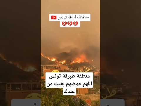 حريق ضخم فى طبرقة تونس#تونس #السعودية #عاشوراء #العراق #الجزائر