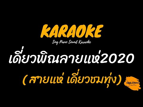 เดี่ยวพิณลายแห่ 2020 –  สายแห่เดี่ยวชมทุ่ง (คาราโอเกะ)