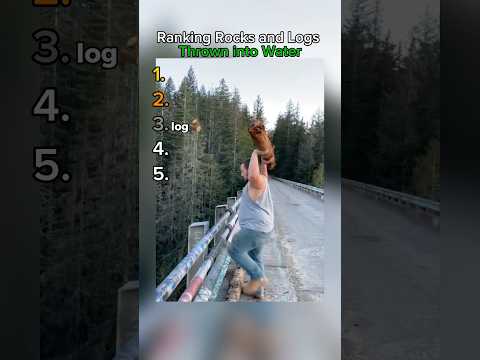 Ranking Rocks and Logs Thrown into Water