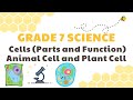 Exploring Cell Structures and Functions