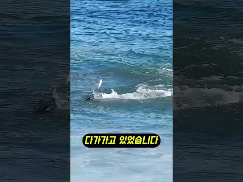 의외로 잘 모르는 월척 신호