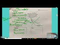 Exploring the Plot Diagram of The Landlady