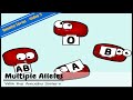 Understanding Blood Types and Genetics