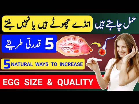 5 Natural Ways To Increase Egg Size & Egg Quality Quickly |Fertility Tips |How To Conceive Pregnancy