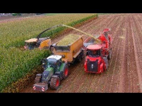 Maïs 2024 : New Holland FR920 | Von Meer | Holmer Terra | Maisernte | Scania | Mais harvest | Fendt