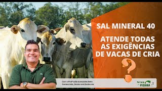 Sal mineral 40 atende as exigências de vacas de cria?