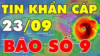 🔥 TIN KHẨN CẤP: Siêu Bão Số 9 Ragasa – Quái Thú Biển Đông Báo Động Đỏ! BÃO SỐ 10?