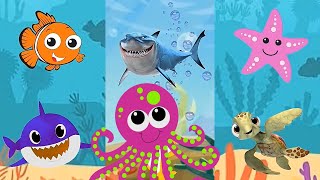 Animals Sea dance with Baby Shark Dolphin octopus colors fish | Baby Shark Dance Song video