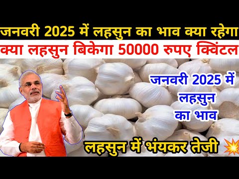 जनवरी 2025 में लहसुन का भाव क्या रहेगा || January 2025 Me Lahsun Ka Bhav Kya Rhega || Lahsunkabhav