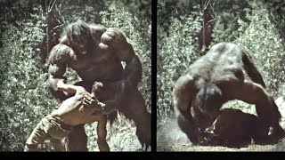 Man Hospitalized After Sasquatch Attack | This Is Why You Don't Provoke Bigfoot (He Deserved It)