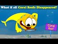 Impact of Coral Reefs on Marine Life