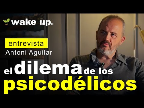 El dilema de los Psicodélicos ¿Amplificador de la Conciencia