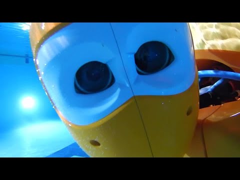 YouTube video thumbnail: Underwater Bot Brings Human Touch to Deep-Sea Missions