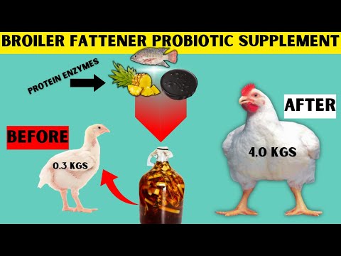 ORGANIC ENZYME + PROBIOTIC SUPPLEMENT TO FATTEN BROILERS IN 28 DAYS ONLY