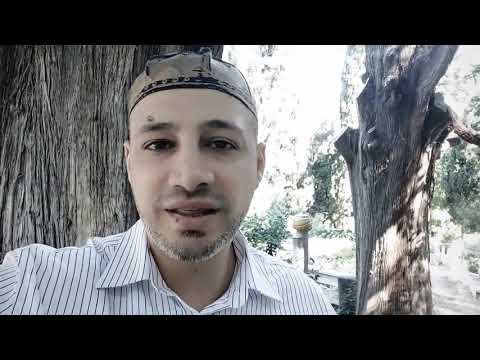 ما هو أفضل يوم في حياتك الذي تتحقق فيه جميع أمنياتك (لا تدعه يفوتك)