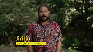 Clean Creeks - Gimuy Walubarra Yidinji Rangers
