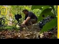 Filming Ants: Challenges and Insights