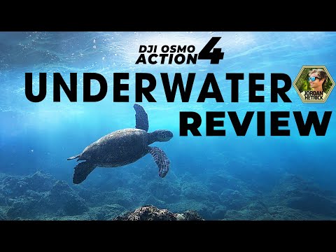 DJI Osmo Action 4 Underwater Review | BEST SETTINGS & TIPS