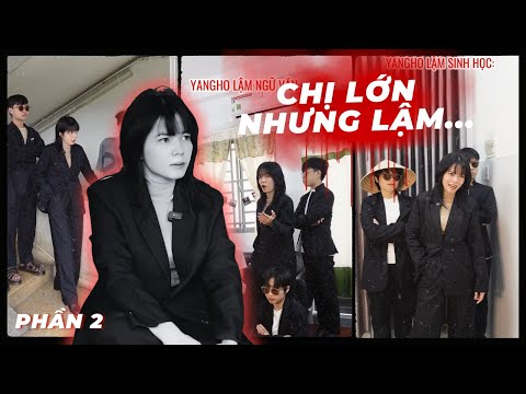 CHỊ LỚN NHƯNG LẬM... (PHẦN 2) | Tổng hợp video TikTok Hài Hước Hay Nhất của Bảo Ngân 549