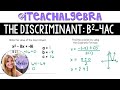 Exploring the Discriminant and Quadratic Solutions