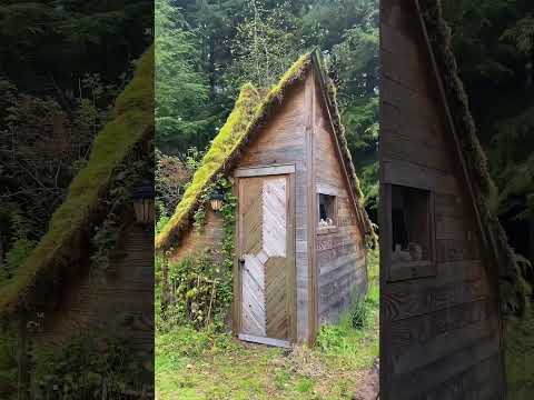 We already need to update this, we’ve made so many more fun structures! #cabin #diy #carpentry