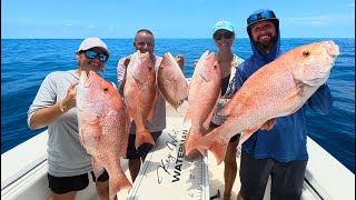 How To Catch Red Snapper | Cut Bait Dumb Dumb Rig | CCC