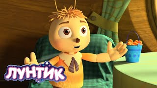 Лунтик 🐝 Приключения Пчеленка 🐝 Мультики для детей