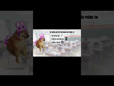 Ding Ding memes: top bảo vật cần mang vào phòng thi