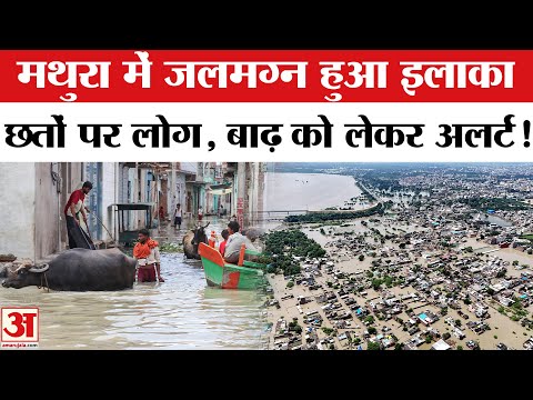 Mathura-Vrindavan Flood Update: मथुरा में बाढ़ से हालात, लोग परेशान! | Heavy Rain